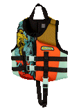 Ronix Vision - Boy's CGA Life Vest